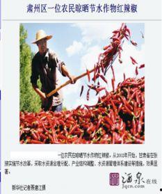 酒泉最新爆料,揭秘神秘事件背后的真相  第1张